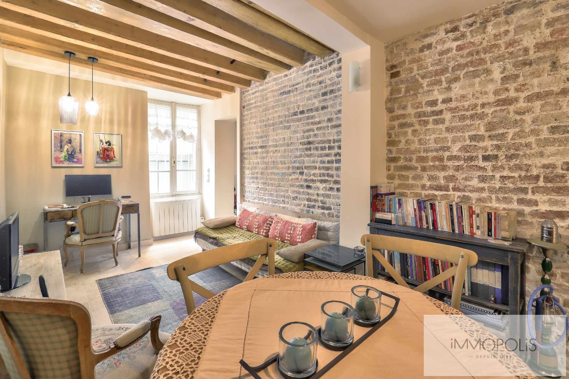 Montmartre, rue Gabrielle, magnificent 2 rooms entirely renovated with stones, bricks and exposed beams: like a house! 1