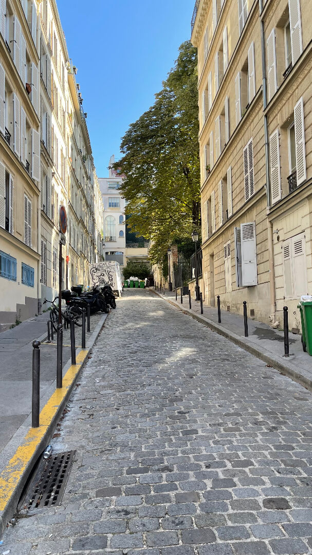 Charming studio, rue Durantin, in the heart of the Abbesses 10