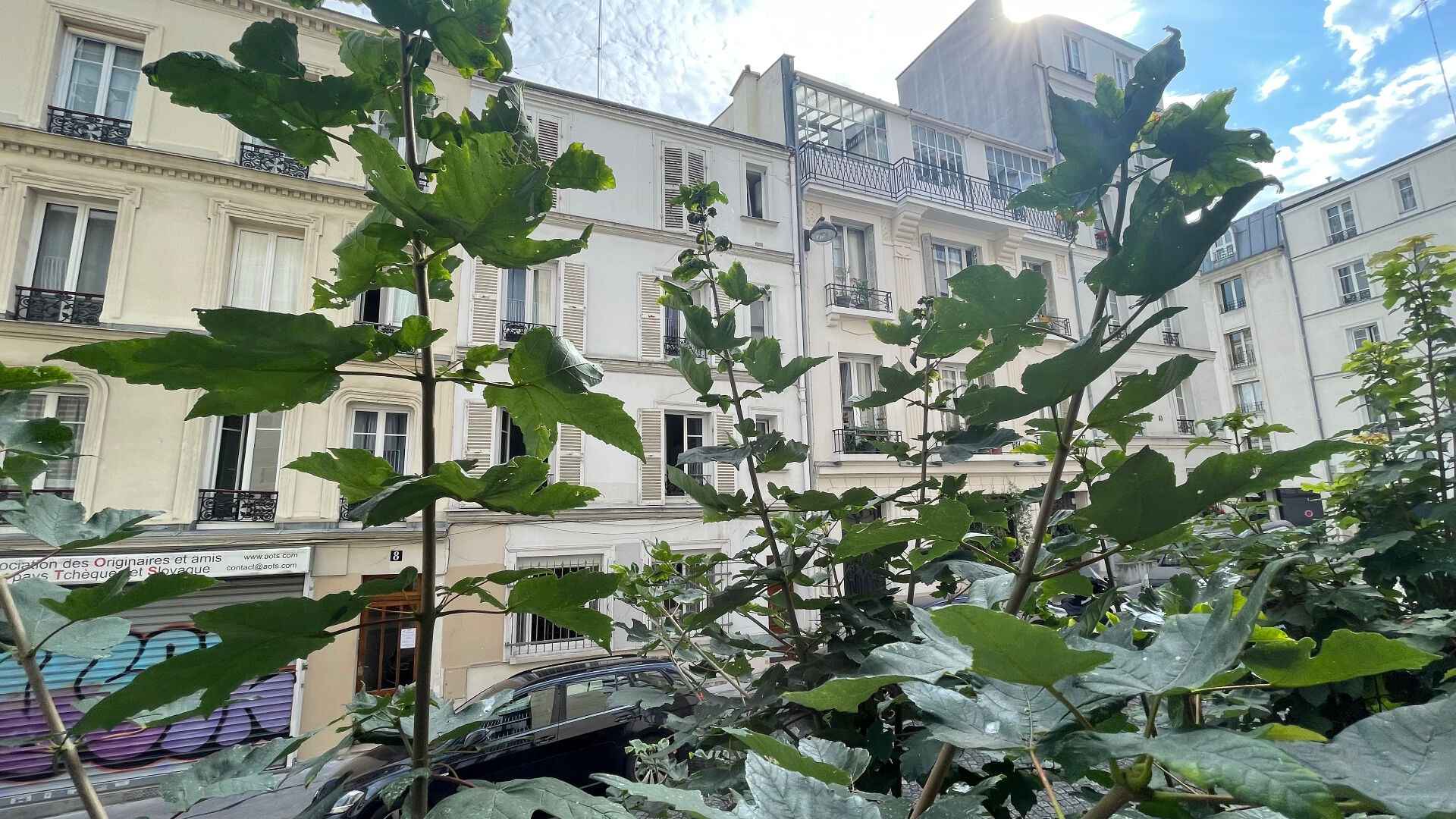 Grand studio au plan compact très bien placé Village Ramey 1