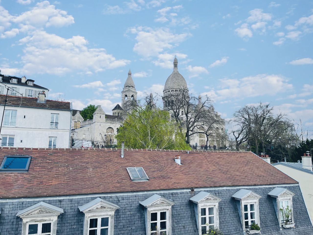 Haven of peace with a view of the Sacred Heart and Paris, in the top floor in Montmartre! 1