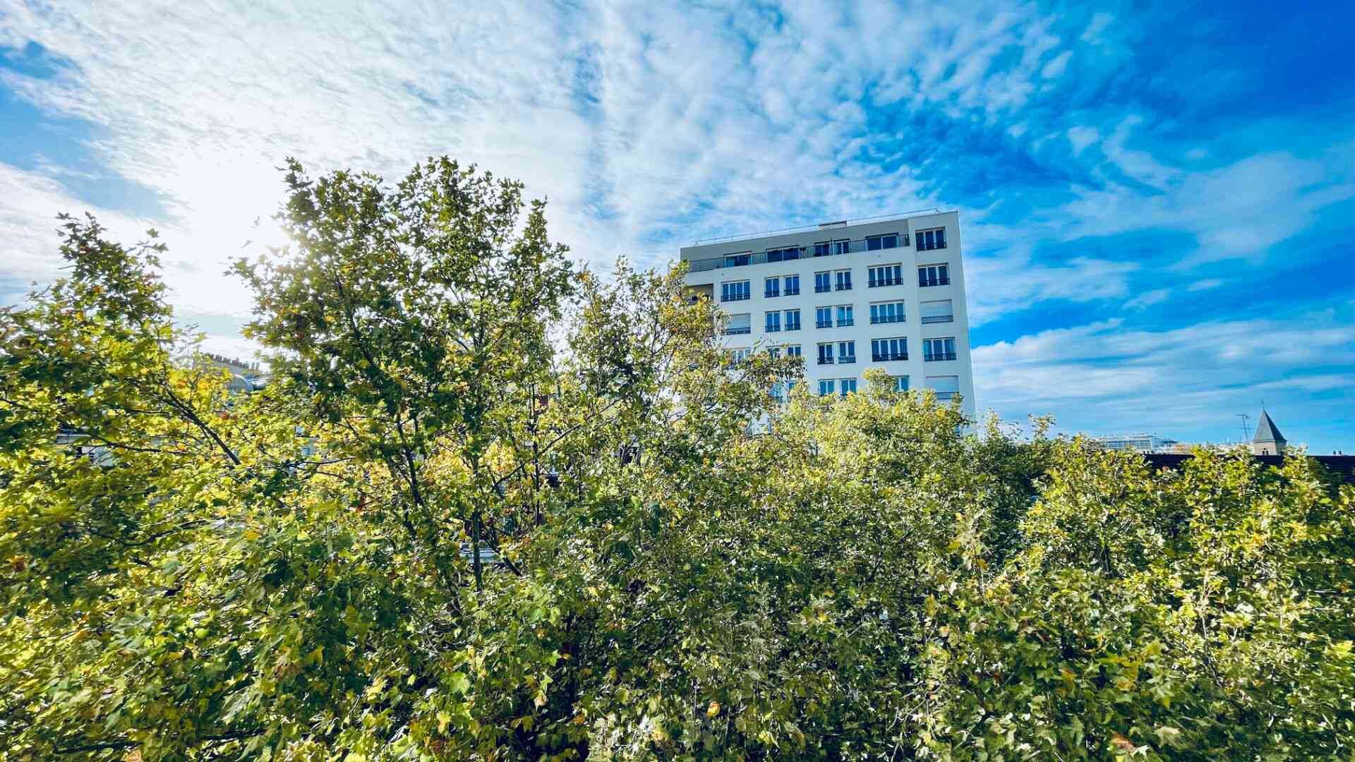 Bright top floor not overlooked: 2 rooms near the Coulée verte, Paris 18th 1