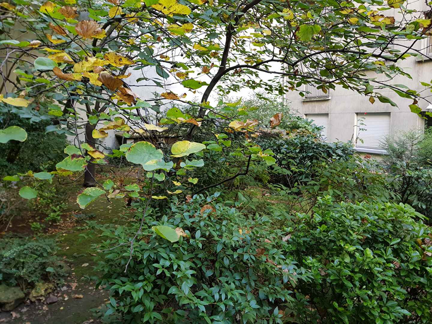 Paris 3 Room Apartment. To modernize… 6 Paris 3 Room Apartment. To modernize… 6