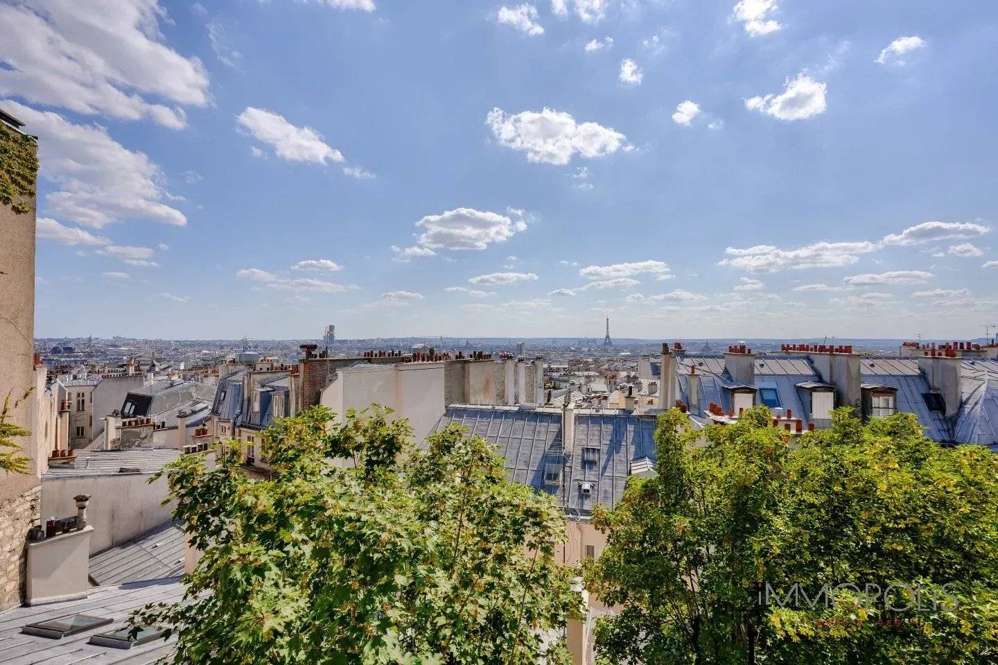 Vue exceptionnelle à Montmartre. 5 Vue exceptionnelle à Montmartre. 5
